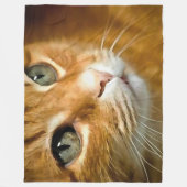 Schattig Ginger Tabby Cat Posing Pet Portret Fleece Deken (Voorkant)