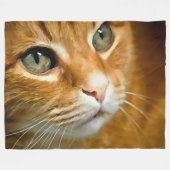 Schattig Ginger Tabby Cat Posing Pet Portret Fleece Deken (Voorkant (Horizontaal))