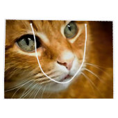 Schattig Ginger Tabby Cat Posing Pet Portret Groot Cadeauzakje (Achterkant)