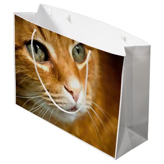 Schattig Ginger Tabby Cat Posing Pet Portret Groot Cadeauzakje (Achterkant Gekanteld)