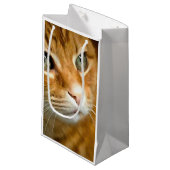 Schattig Ginger Tabby Cat Posing Pet Portret Klein Cadeauzakje (Voorkant Gekanteld)