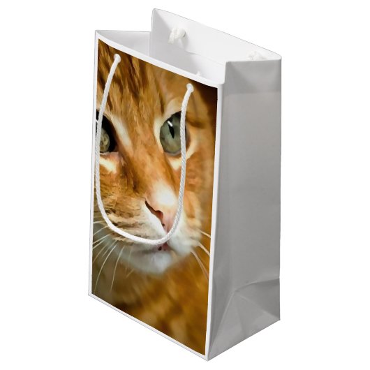 Schattig Ginger Tabby Cat Posing Pet Portret Klein Cadeauzakje (Achterkant Gekanteld)