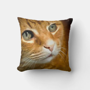 Schattig Ginger Tabby Cat Posing Pet Portret Kussen