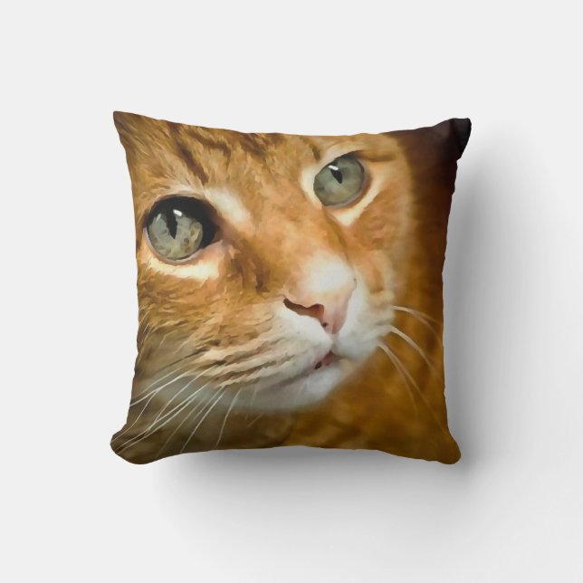 Schattig Ginger Tabby Cat Posing Pet Portret Kussen (Voorkant)