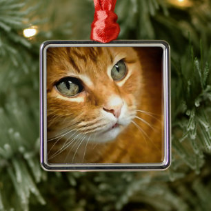 Schattig Ginger Tabby Cat Posing Pet Portret Metalen Ornament