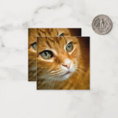 Schattig Ginger Tabby Cat Posing Pet Portret Notitiekaartje (Voorkant / Achterkant in situ)
