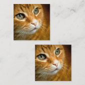 Schattig Ginger Tabby Cat Posing Pet Portret Notitiekaartje (Voorkant / Achterkant)