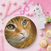 Schattig Ginger Tabby Cat Posing Pet Portret Papieren Bordje (Feest)