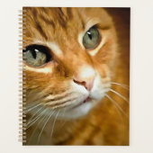 Schattig Ginger Tabby Cat Posing Pet Portret Planner (Voorkant)