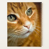Schattig Ginger Tabby Cat Posing Pet Portret Planner (Achterkant)