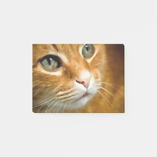 Schattig Ginger Tabby Cat Posing Pet Portret Post-it® Notes (Voorkant)