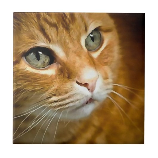 Schattig Ginger Tabby Cat Posing Pet Portret Tegeltje (Voorkant)