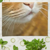 Schattig Ginger Tabby Cat Posing Pet Portret Theedoek (Gevouwen)