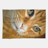 Schattig Ginger Tabby Cat Posing Pet Portret Theedoek (Horizontaal)