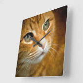 Schattig Ginger Tabby Cat Posing Pet Portret Vierkante Klok (Hoek)