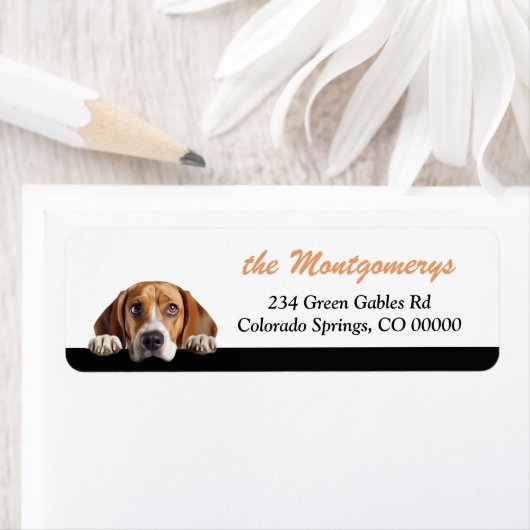 Schattig glurend Beagle-hond retouradres Etiket (Insitu)