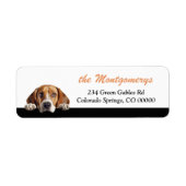 Schattig glurend Beagle-hond retouradres Etiket (Voorkant)