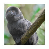 Schattig Goeldi Monkey Tegeltje (Voorkant)