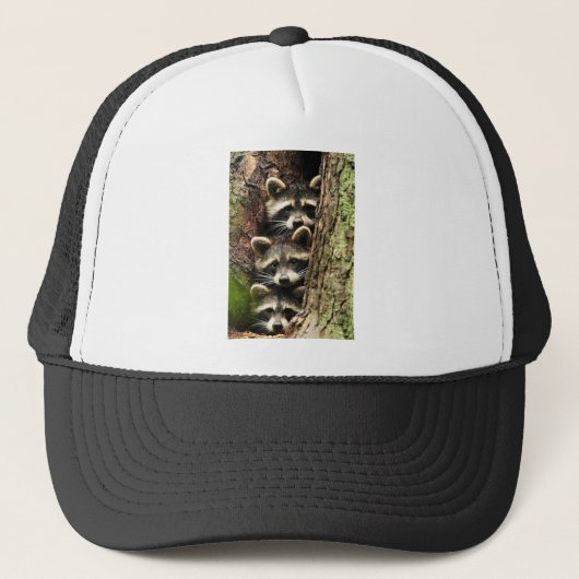 schattig_grappig_animals_41 Drie Raccons boomstam Trucker Pet (Voorkant)