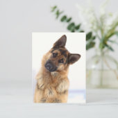 Schattig grappig duits herder portret briefkaart (Staand voorkant)