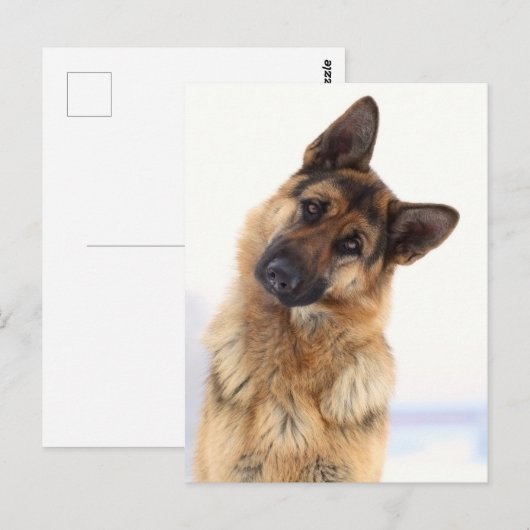Schattig grappig duits herder portret briefkaart (Voorkant / Achterkant)