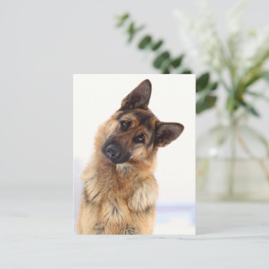 Schattig grappig duits herder portret briefkaart (Staand voorkant)