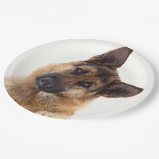 Schattig grappig duits herder portret papieren bordje (Gekanteld)