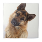 Schattig grappig duits herder portret tegeltje (Voorkant)