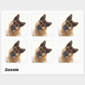 Schattig grappig duits herder portret vierkante sticker (Vel)
