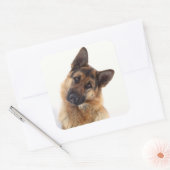 Schattig grappig duits herder portret vierkante sticker (Envelop)