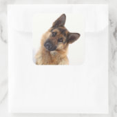 Schattig grappig duits herder portret vierkante sticker (Tas)