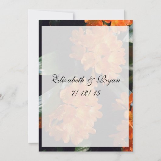 Schattig, grappig huwelijksadvies voor bruid en br kaart (Achterkant)