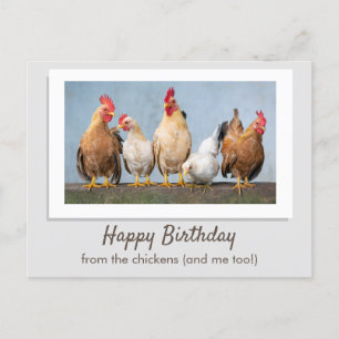 Schattig Grijs Gefeliciteerd Van De Kippen Briefkaart