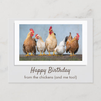 Schattig Grijs Gefeliciteerd Van De Kippen Briefkaart