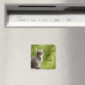 Schattig grijs katje magneet (Insitu (Vaatwasser))
