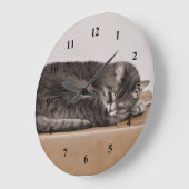Schattig grijs tabby kat slapen op doos grote klok (Hoek)