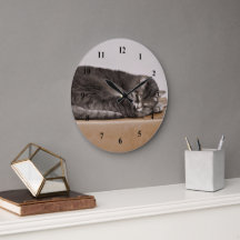 Schattig grijs tabby kat slapen op doos