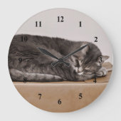 Schattig grijs tabby kat slapen op doos grote klok (Voorkant)