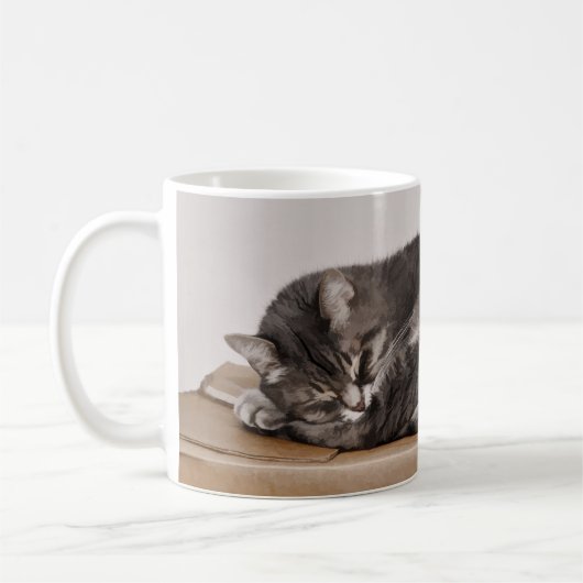 Schattig grijs tabby kat slapen op doos koffiemok (Links)