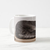Schattig grijs tabby kat slapen op doos koffiemok (Voorkant links)