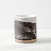 Schattig grijs tabby kat slapen op doos koffiemok (Center)