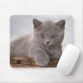 schattig grijze keukenmousepad muismat (Met muis)