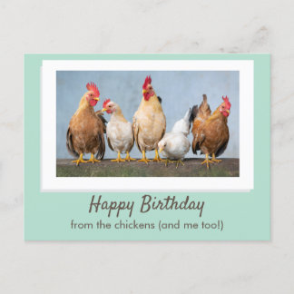 Schattig Groen Gelukkige Verjaardag Van De Kippen Briefkaart