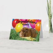 Schattig-Guinea Varkens en ballonnen | Gefelicitee Kaart (Voorkant)