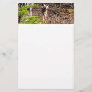 Schattig hert in het bos Natuurfotografie Briefpapier