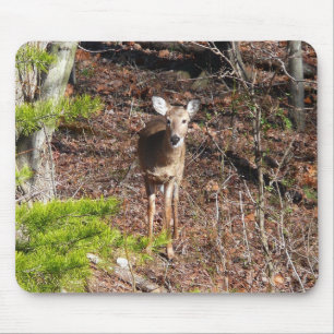 Schattig hert in het bos Natuurfotografie Muismat