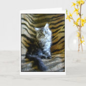 Schattig het katjeswenskaart van de Wasbeer van Kaart (Gele Bloem)