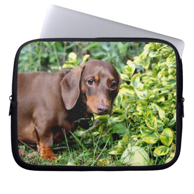 schattig hoesje dachshund-laptop laptop sleeve (Voorkant)
