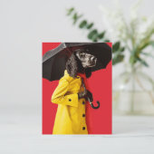 Schattig Hond in een gele regenjas rode achtergron Briefkaart (Staand voorkant)