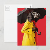 Schattig Hond in een gele regenjas rode achtergron Briefkaart (Voorkant / Achterkant)